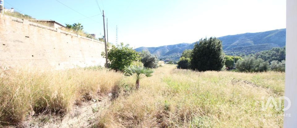 Farm land of 12,466 m² in Adsubia (03786)