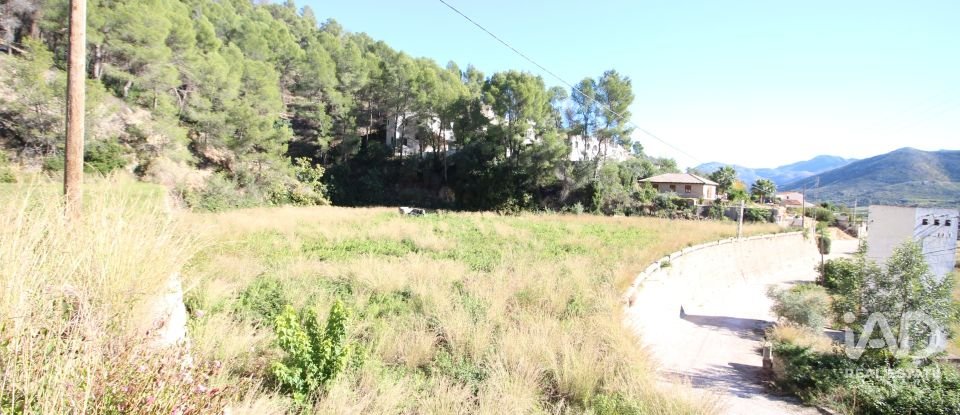 Farm land of 12,466 m² in Adsubia (03786)