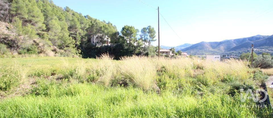 Farm land of 12,466 m² in Adsubia (03786)