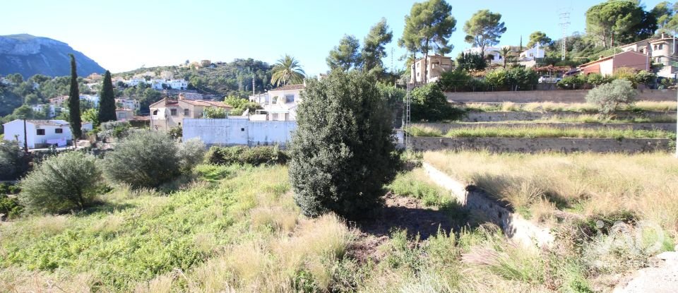 Farm land of 12,466 m² in Adsubia (03786)
