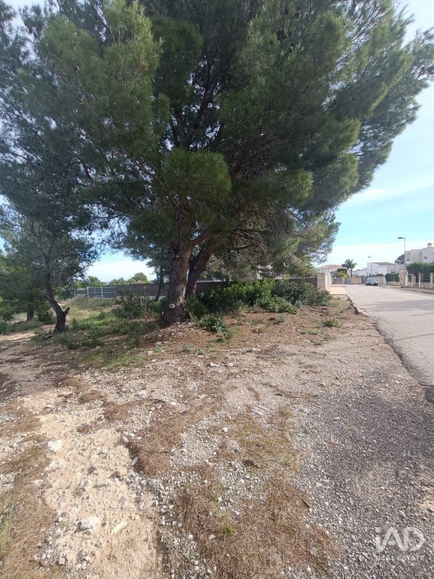 Land of 800 m² in L'Ametlla de Mar (43860)