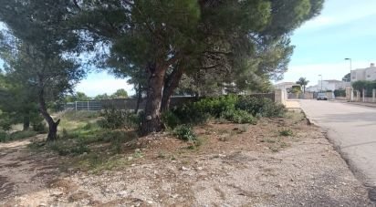 Land of 800 m² in L'Ametlla de Mar (43860)