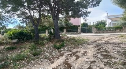 Land of 800 m² in L'Ametlla de Mar (43860)