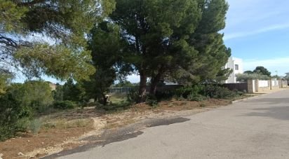 Land of 800 m² in L'Ametlla de Mar (43860)