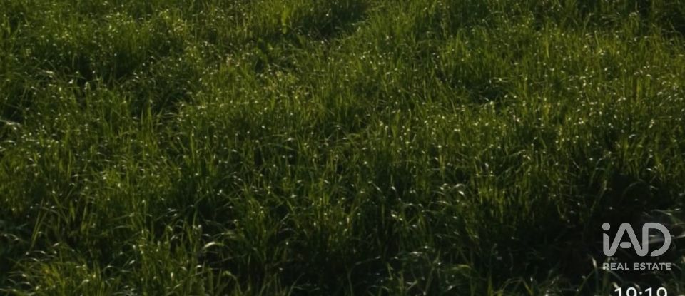 Casa rústica 3 habitacions de 285 m² a El Callejo (48890)