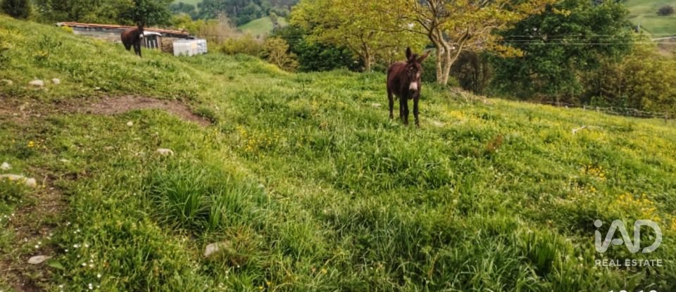 Casa rústica 3 habitacions de 285 m² a El Callejo (48890)