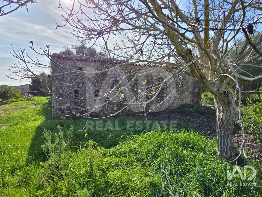 Land of 22,239 m² in Muro (07440)