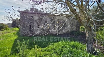 Land of 22,239 m² in Muro (07440)