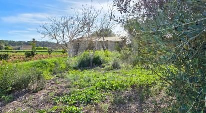 Land of 22,239 m² in Muro (07440)