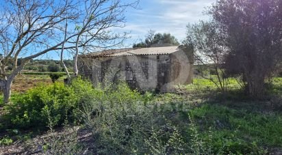 Land of 22,239 m² in Muro (07440)