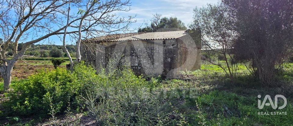 Land of 22,239 m² in Muro (07440)