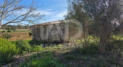 Land of 22,239 m² in Muro (07440)