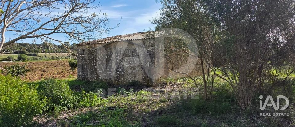 Land of 22,239 m² in Muro (07440)