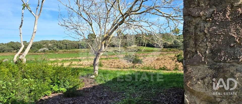 Land of 22,239 m² in Muro (07440)