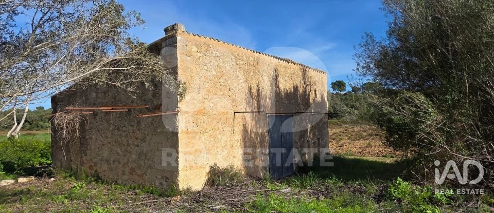 Land of 22,239 m² in Muro (07440)