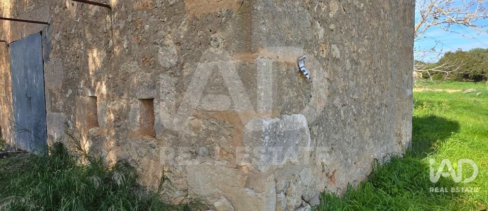 Land of 22,239 m² in Muro (07440)