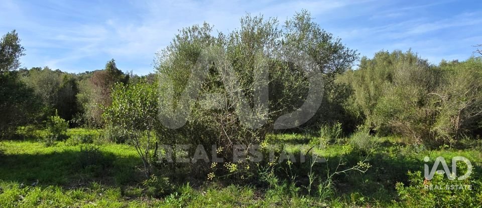 Land of 22,239 m² in Muro (07440)