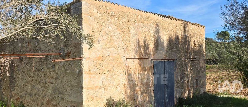 Land of 22,239 m² in Muro (07440)