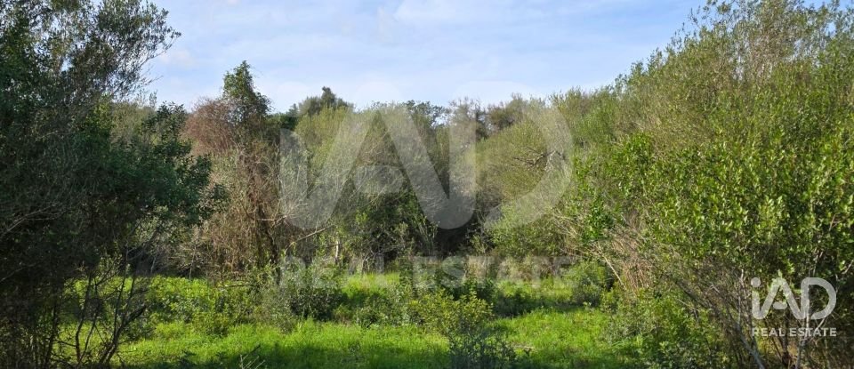 Land of 22,239 m² in Muro (07440)