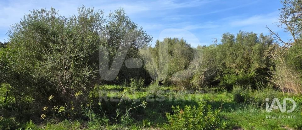 Land of 22,239 m² in Muro (07440)
