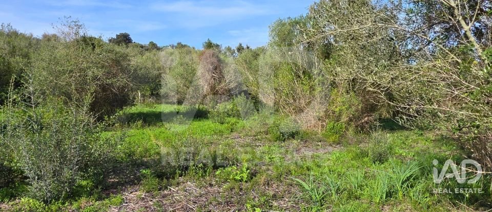 Land of 22,239 m² in Muro (07440)