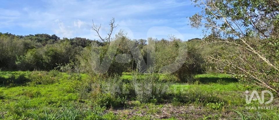 Land of 22,239 m² in Muro (07440)