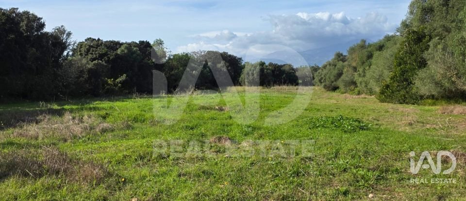 Land of 22,239 m² in Muro (07440)
