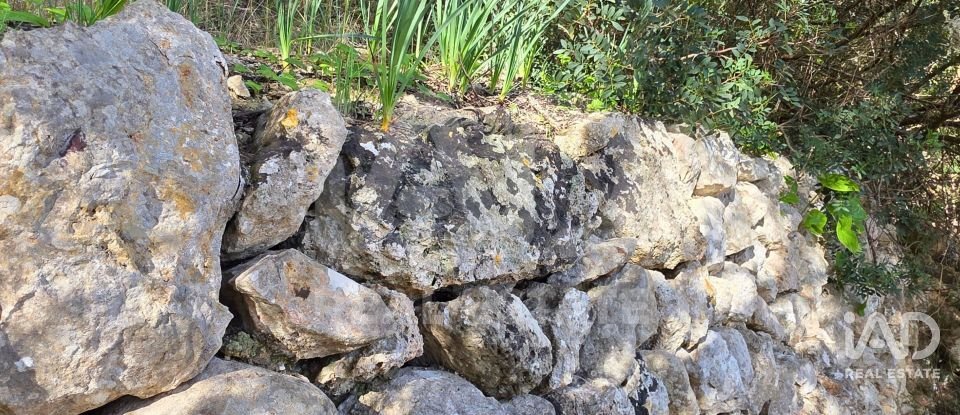 Land of 22,239 m² in Muro (07440)