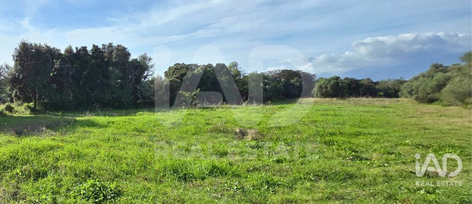 Land of 22,239 m² in Muro (07440)