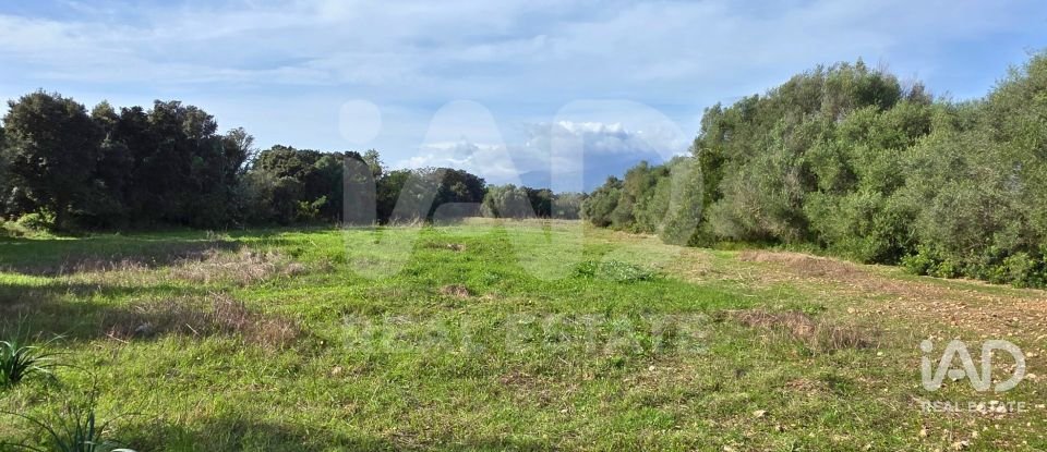 Land of 22,239 m² in Muro (07440)