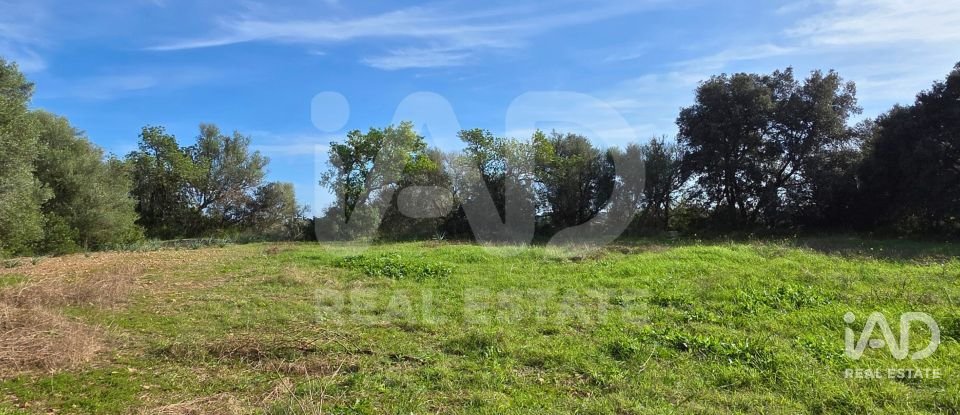 Land of 22,239 m² in Muro (07440)