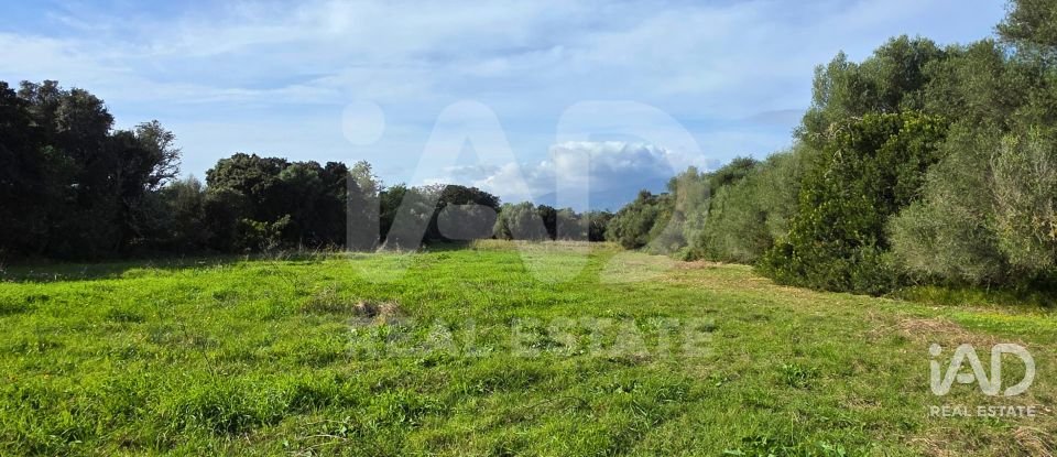 Land of 22,239 m² in Muro (07440)