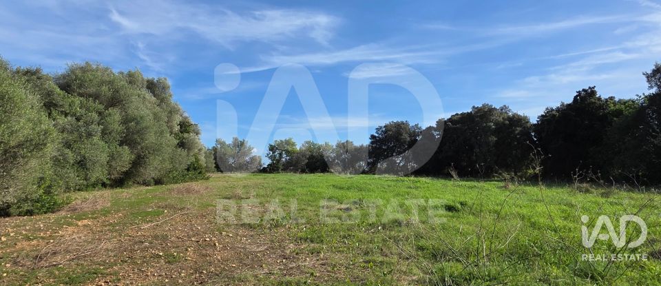 Land of 22,239 m² in Muro (07440)