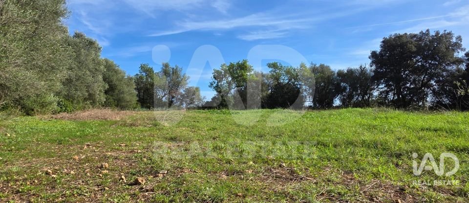Land of 22,239 m² in Muro (07440)
