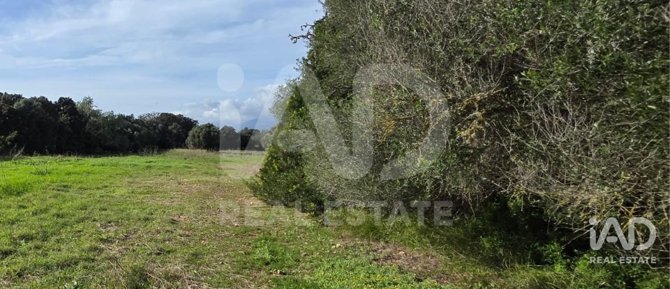 Land of 22,239 m² in Muro (07440)