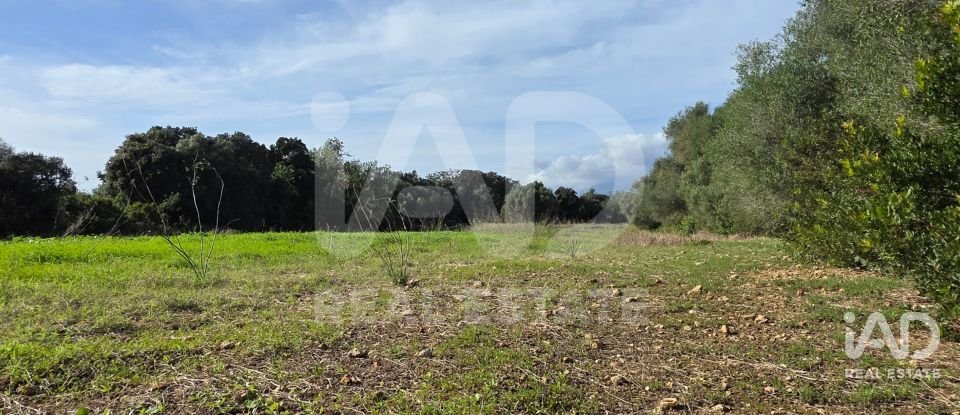Land of 22,239 m² in Muro (07440)