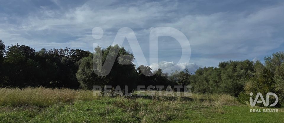 Land of 22,239 m² in Muro (07440)