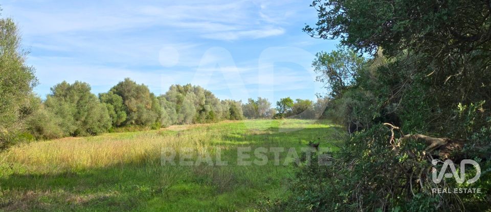 Land of 22,239 m² in Muro (07440)
