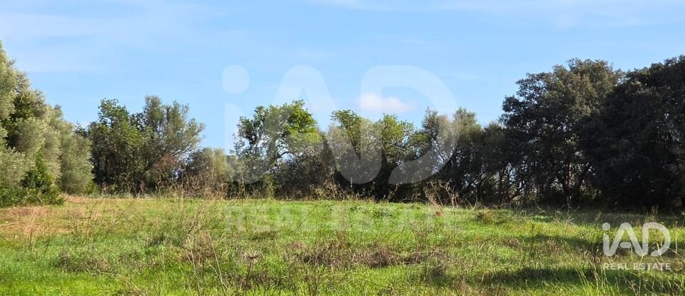 Land of 22,239 m² in Muro (07440)