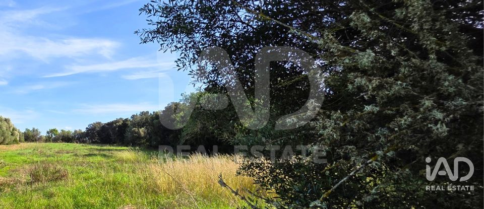 Land of 22,239 m² in Muro (07440)