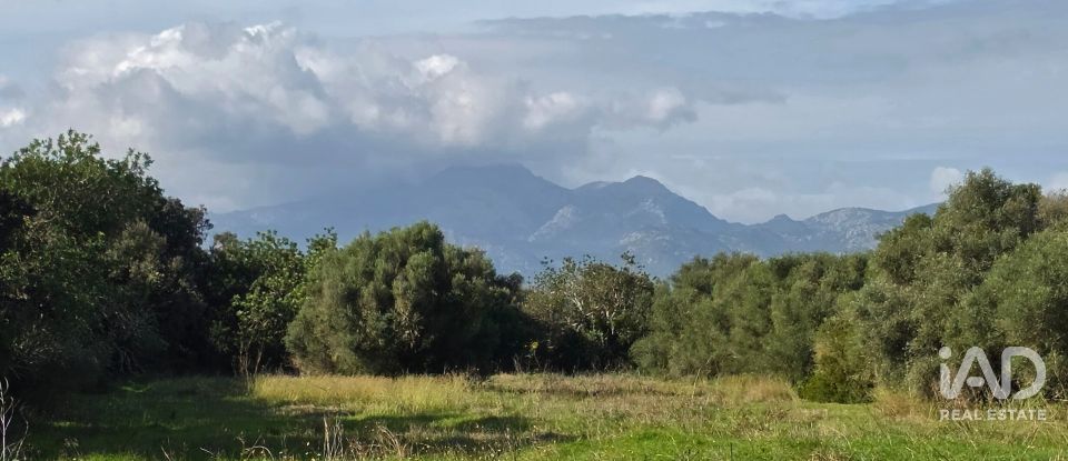 Land of 22,239 m² in Muro (07440)