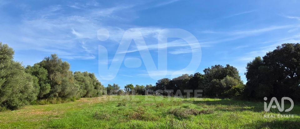 Land of 22,239 m² in Muro (07440)