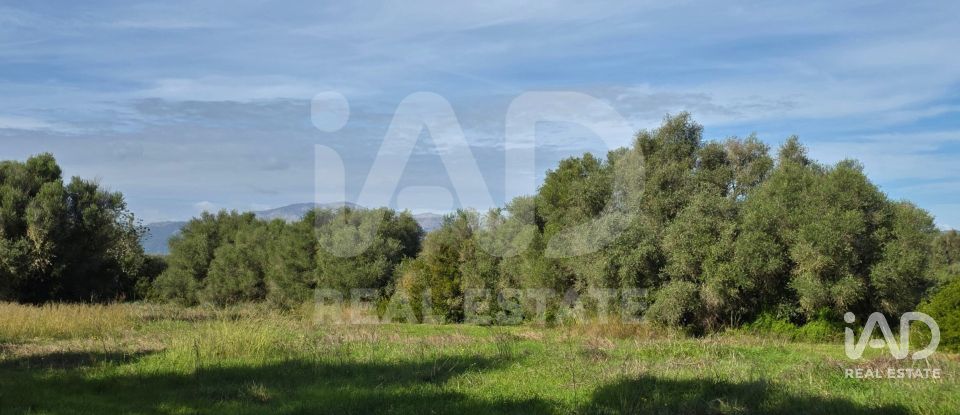 Land of 22,239 m² in Muro (07440)