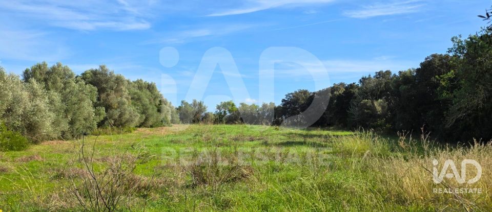 Land of 22,239 m² in Muro (07440)