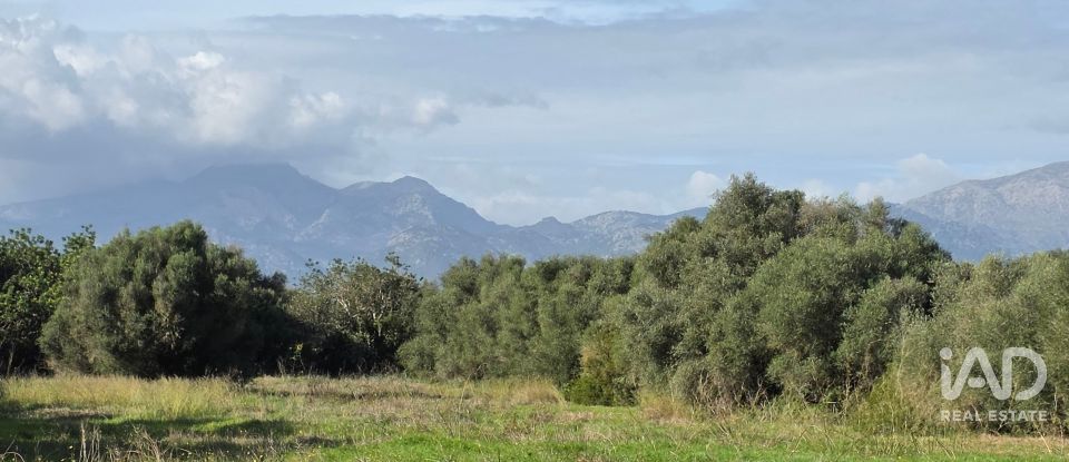 Land of 22,239 m² in Muro (07440)