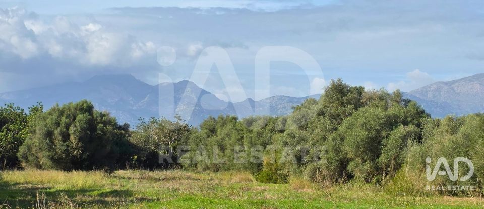 Land of 22,239 m² in Muro (07440)