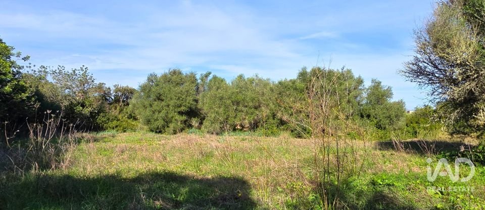 Land of 22,239 m² in Muro (07440)