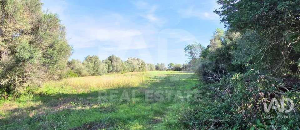 Land of 22,239 m² in Muro (07440)