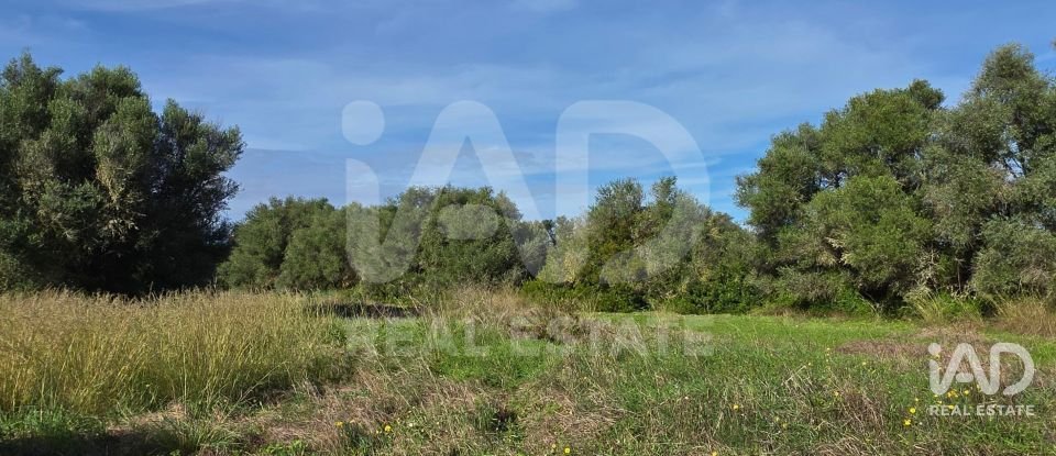 Land of 22,239 m² in Muro (07440)