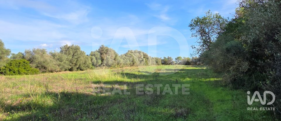 Land of 22,239 m² in Muro (07440)